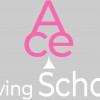 Ace Driving School