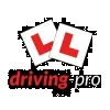 Driving Pro