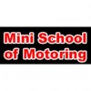 Mini School