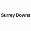 Surrey Downs Driving Academy